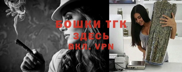 стаф Беломорск