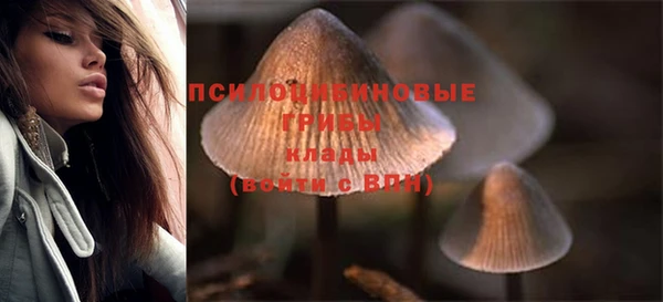 стаф Беломорск