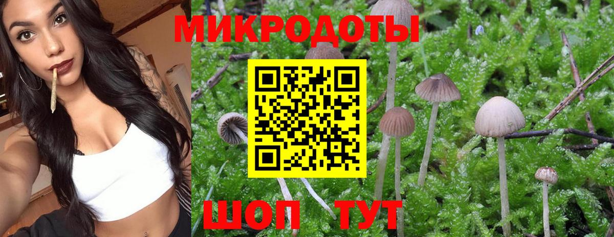 Галлюциногенные грибы Magic Shrooms  Бутурлиновка 